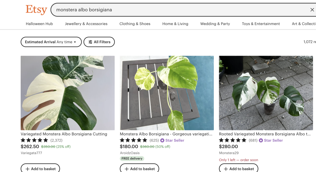 Rare Plants on Etsy - plant search